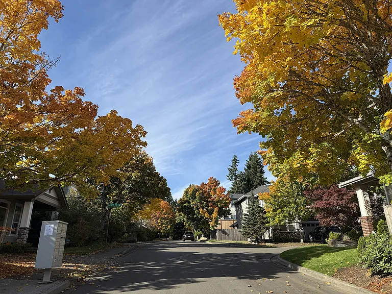 Braeburn Neighborhood