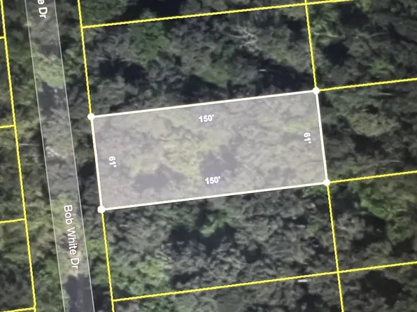 949 Bob White Dr #4122, Vass, NC 28394