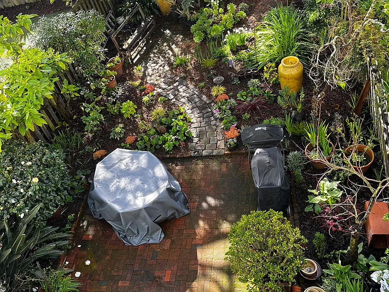 Shared Backyard