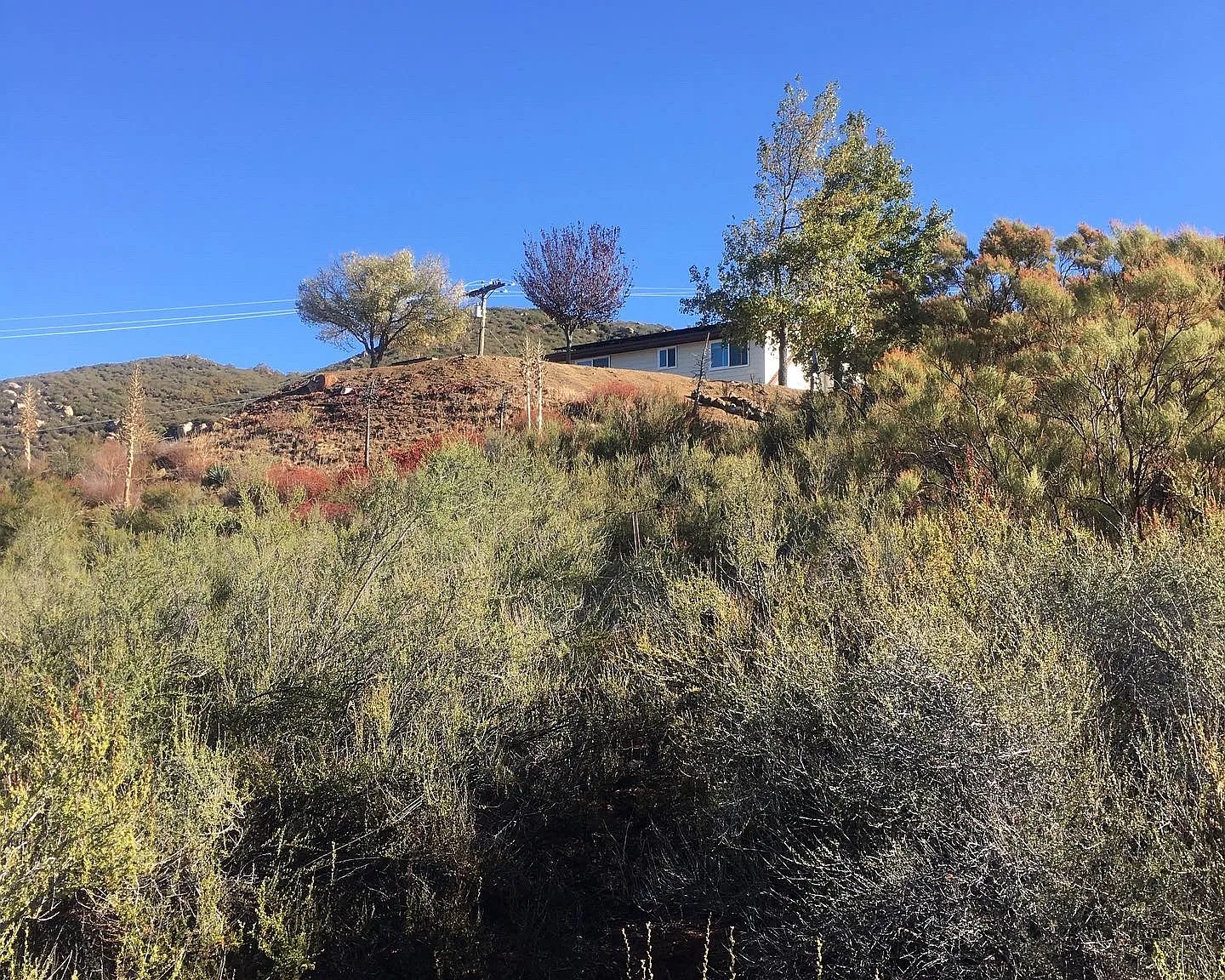 2 bed, 1200 sqft, $2,990 — Photo 4