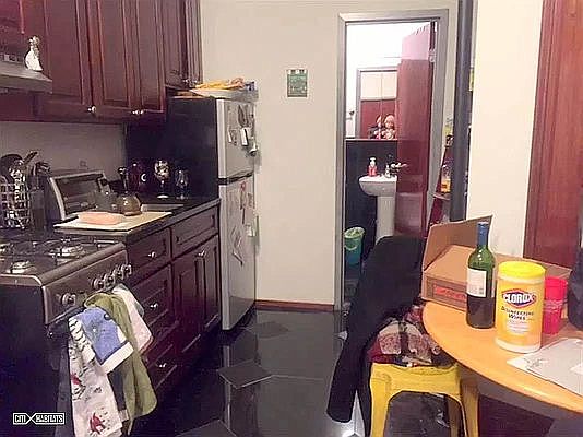 4th image of 530 E 84th St #1GH