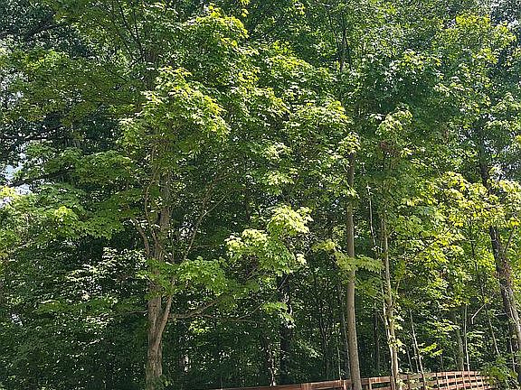2nd image of 6600 Home Rd