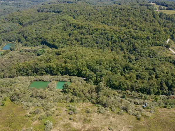 Tbd Beech Run Rd, Albright, WV 26519