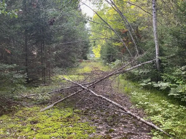 Cth A, Three Lakes, WI 54562