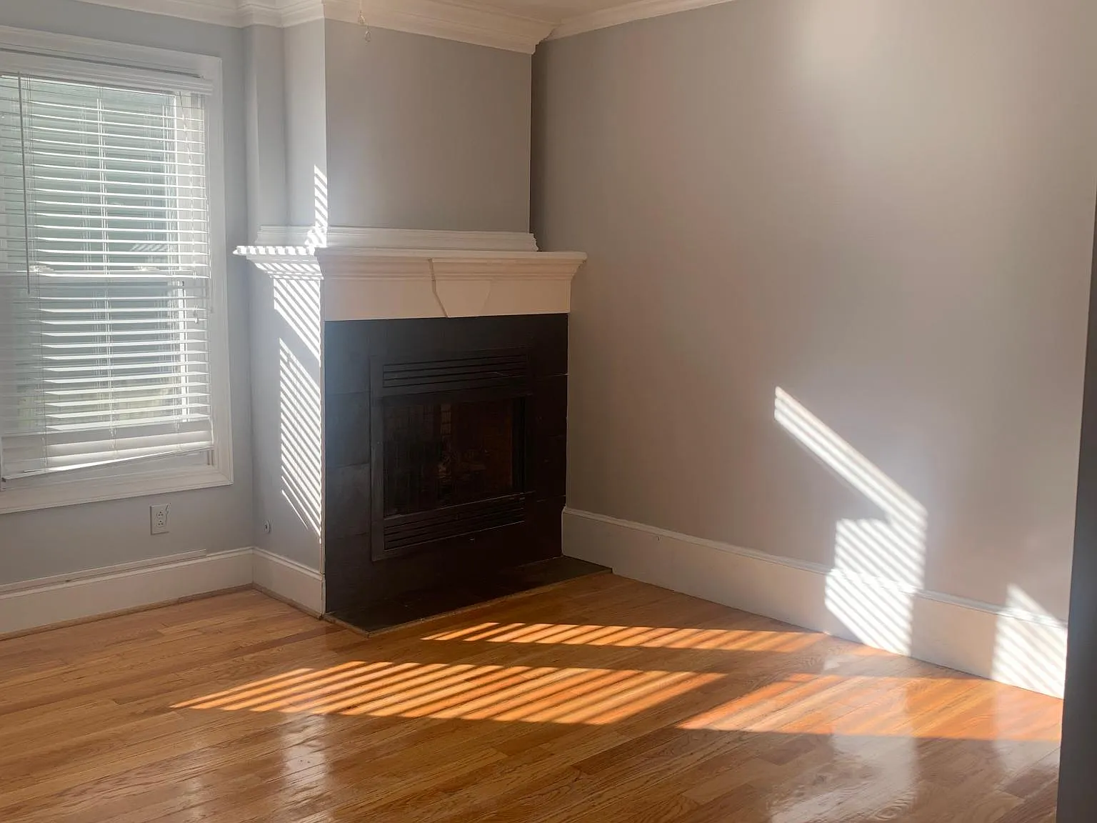 3 bed, 1.5 bath, 1508 sqft, $3,450 — Photo 4