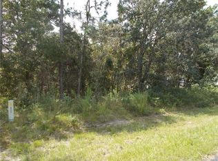 1139 N Chance Way, Inverness, FL 34453