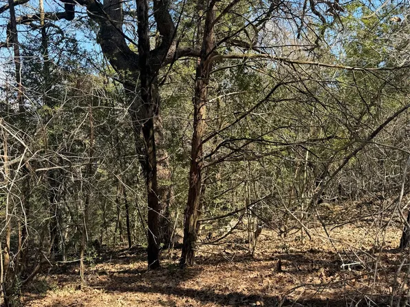 LOT 321 Keneka Ln, Bastrop, TX 78602