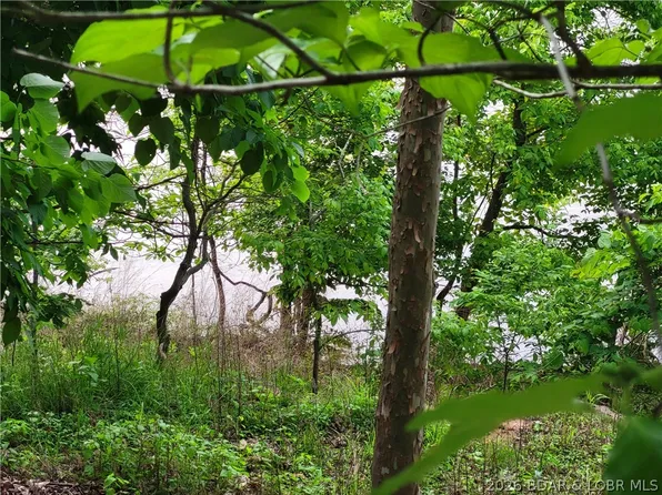 Emerald Hills Dr Lot 2, Edwards, MO 65326