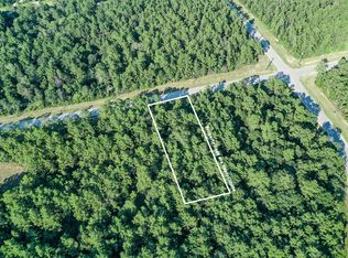 68 Coyote Run, Willis, TX 77378