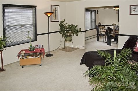 Wonderful flow from Livingroom to Dining