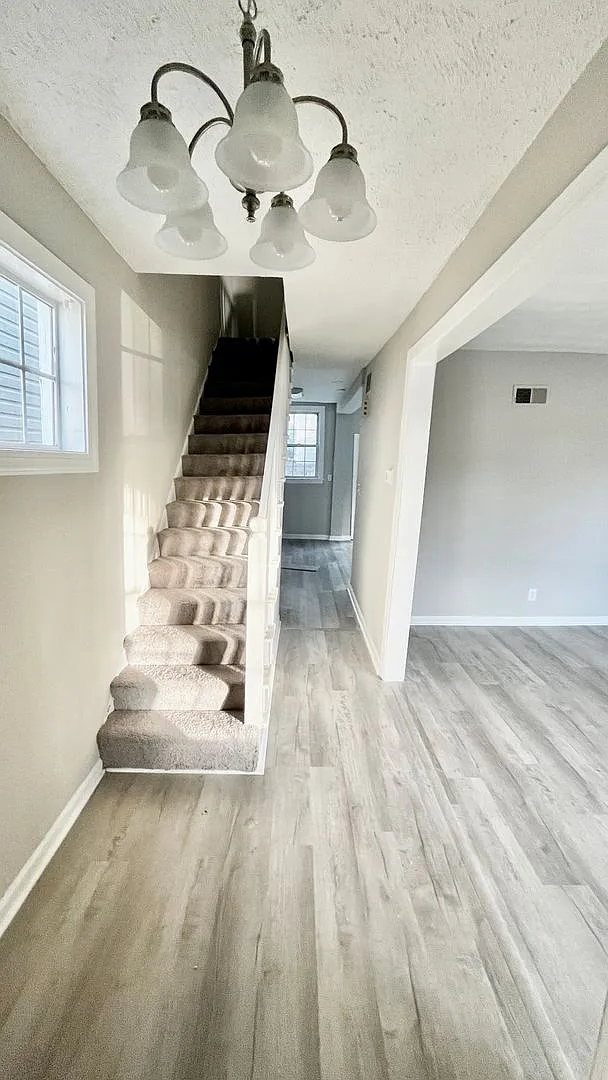 Remodeled 2 bedroom 1 bath home in Swansboro Subdivision — Photo 4