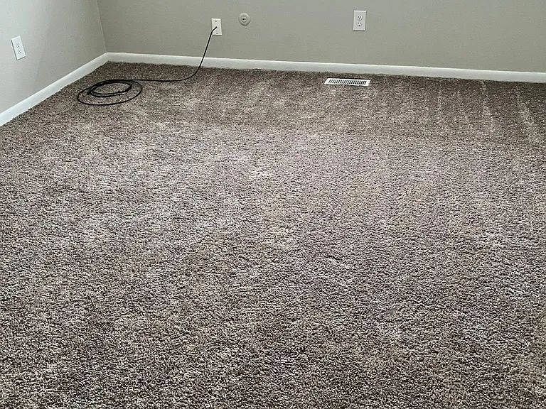 532 Bright Ave #3 — Photo 5