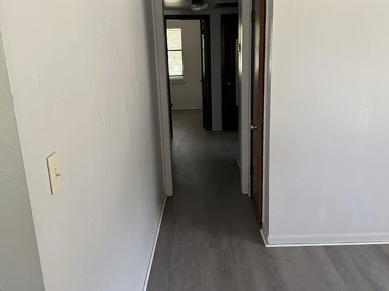 3152 Brasque Dr — Photo 3