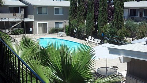 Apt is behind the tall cypress trees