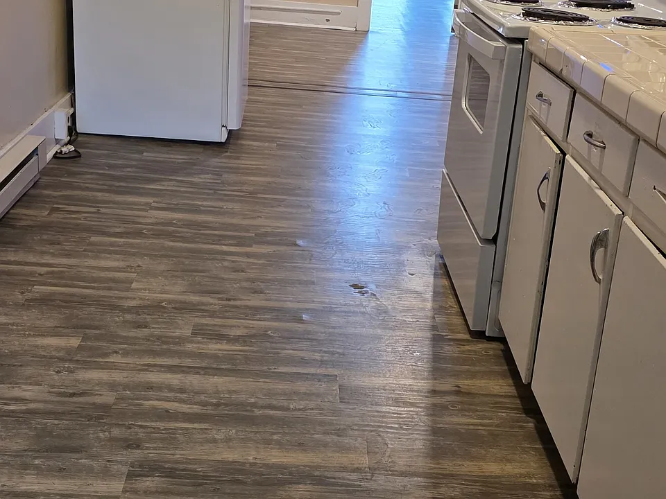 Living room and Kitchen
