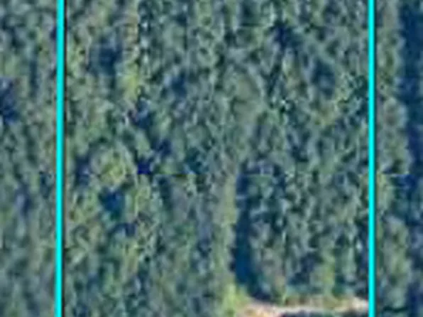 1546 Bear Creek Rd, Luthersville, GA 30251