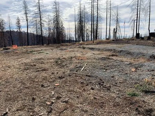 6735 Tyler Dr, Grizzly Flats, CA 95636