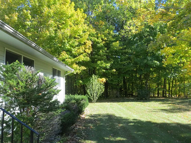 The back yard