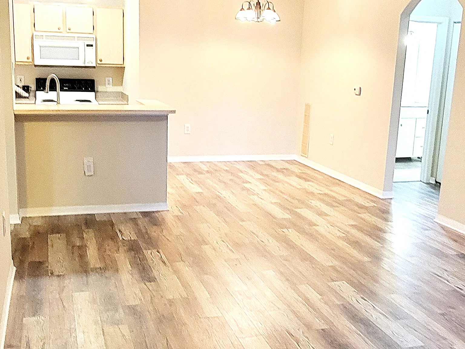 2 bed, 996 sqft, $1,550 — Photo 4