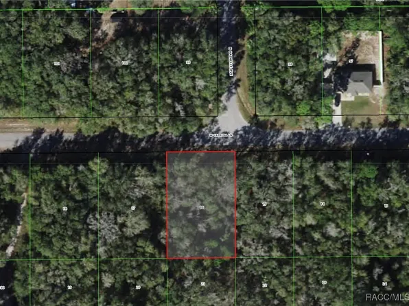 8236 W Catrina Ln, Crystal River, FL 34428