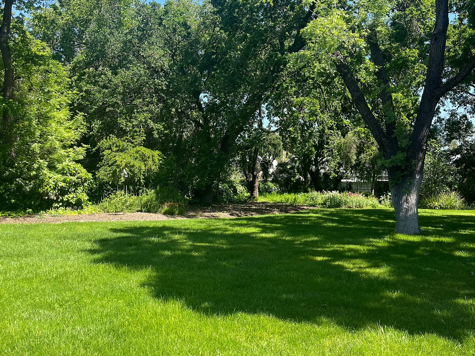 4 bed, 2107 sqft, $5,995 — Photo 4