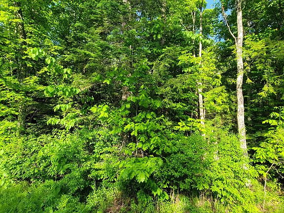 4th image of Doland Rd #40ACRES