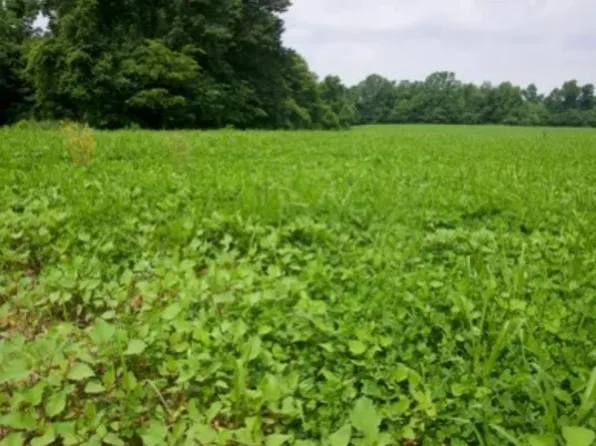 Flint Springs Road & Rd #3, Horse Branch, KY 42349