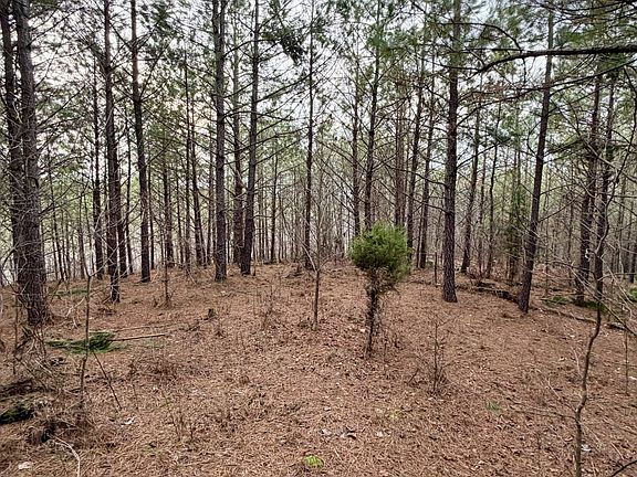 45th image of 1 Roan Creek Rd
