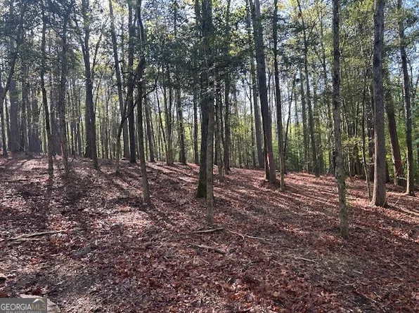 0 Bullock Bridge Rd SW Tract 3, Monroe, GA 30656