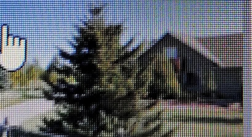 1st image of 386 Cougar Dr
