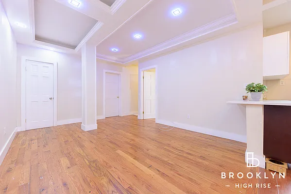 Rented by Brooklyn High Rise LLC | media 13