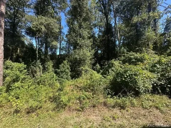 3553 S Dover Ter, Inverness, FL 34452