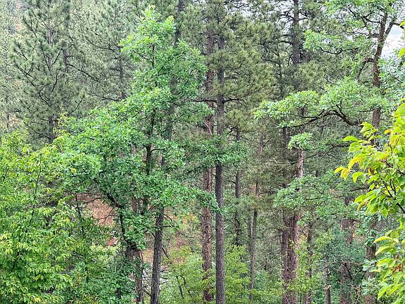 5th image of Timberline Rd