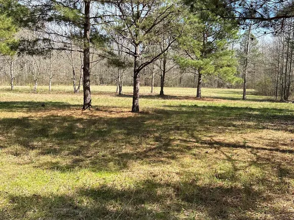 3265 County Road 53 #215, Lafayette, AL 36862