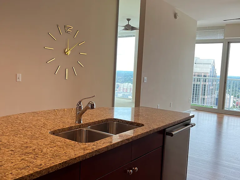 301 Fayetteville St #3102 — Photo 14