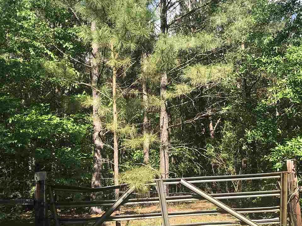 1st image of 3343 County Road 3332 #Mt