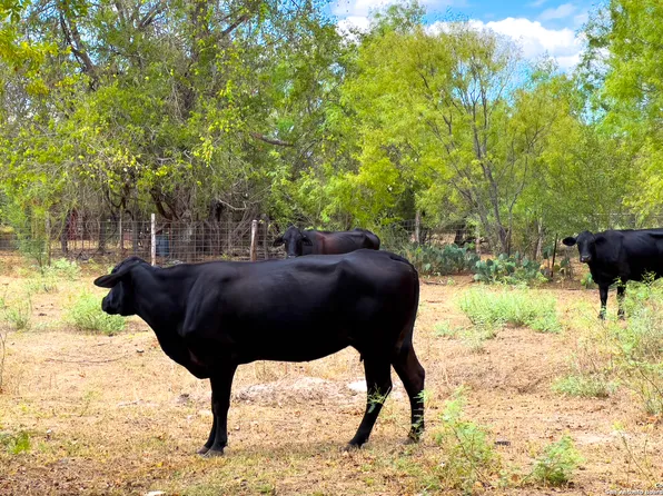 15055 S Skaggs Rd LOT 1 & 2, Atascosa, TX 78002