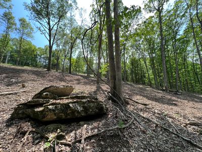 000 Highway Dd, Reeds Spring, MO, 65737