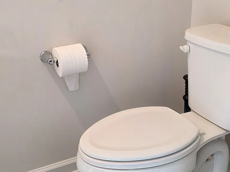 1111 Pale Moss Dr — Photo 31