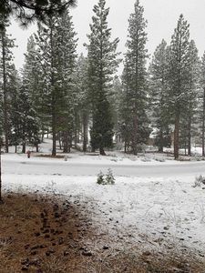 178 Bird Of Prey Ln, Portola, CA, 96122