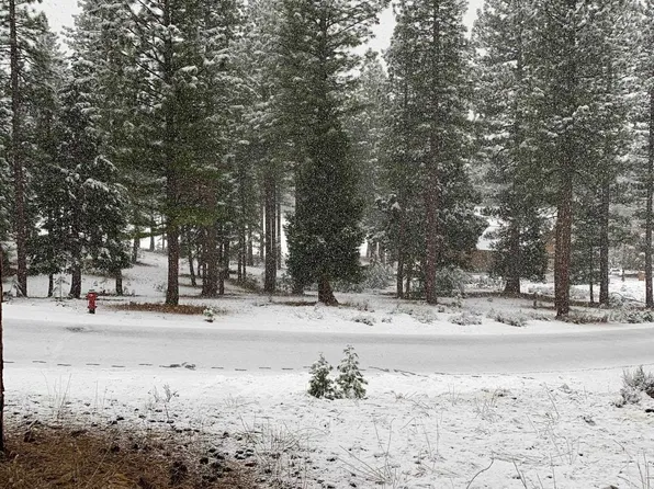 178 Bird Of Prey Ln, Portola, CA 96122