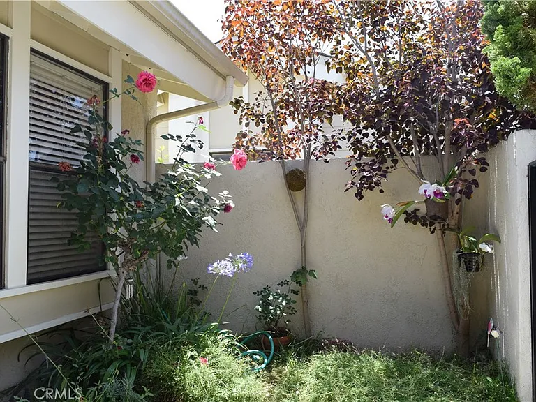 18 Starflower — Photo 11
