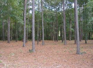 10 Millbrook Cir, Okatie, SC 29909