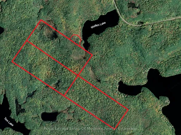 1099 Wolfkin Lake Rd, Lake Of Bays, ON P0B 1A0