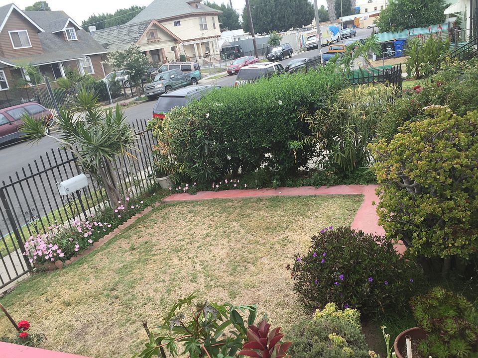 front yard