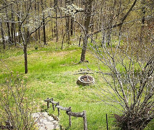 View of the Yard and Firepit