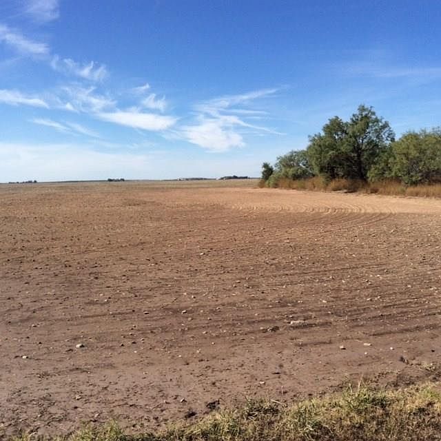 1st image of 242 County Road 504