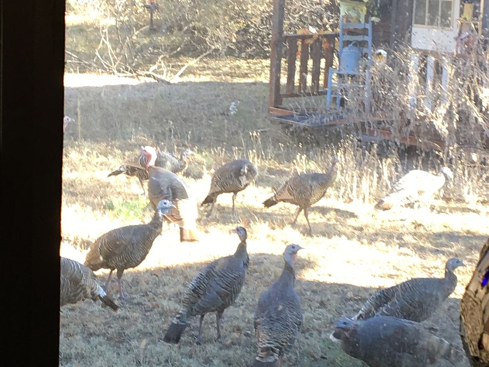 1st image of 4063 County Road 344