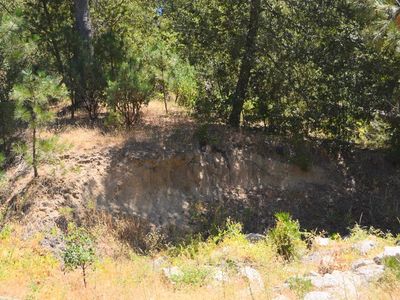 50 Dogwood Creek Dr, Bass Lake, CA, 93604