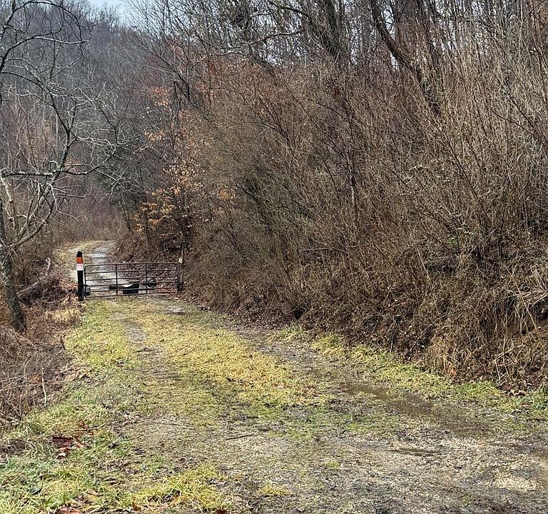 2nd image of 0 Meades Branch Rd